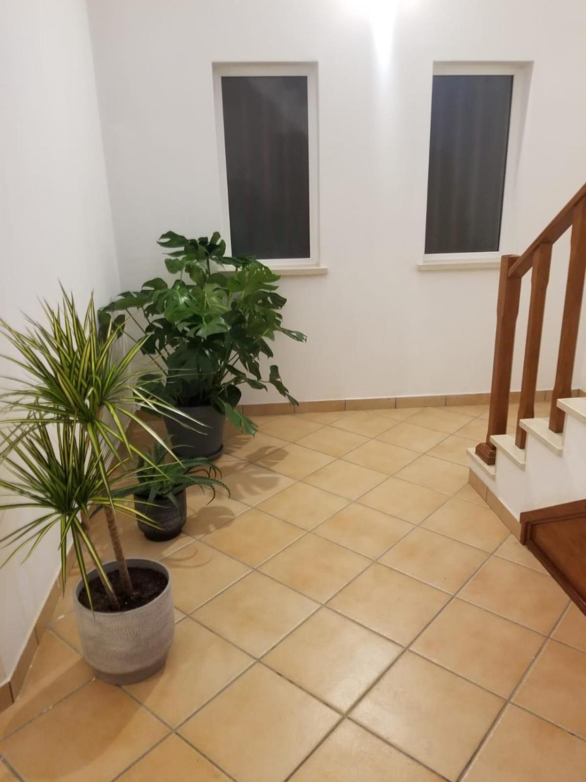 Appartement Le Parisien 1 à Serra d'El-Rei Extérieur photo